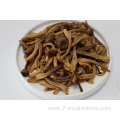 Frozen Fresh-cut Coral Fungus-500G